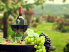 Молдавские виноделы не обанкротились - помогли рынки СНГ