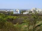 Планы властей Кишинева на 2021 год: обновление лесопарка и скверов, ремонт тротуаров