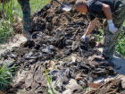 На скотомогильнике обнаружили личные вещи погибших в "Иловайском котле" украинских военных: жуткие кадры