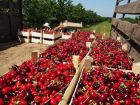 Хорошая новость: Список поставщиков молдавской продукции на российский рынок будет расширен 