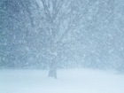 Снегопад в Кишиневе - надолго ли?
