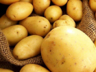 Кто не смог попробовать картофель в Египте, сможет сделать это в Молдове - теперь плод будут импортировать в Молдову