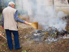Сжигание опавших листьев грозит жителям Молдовы серьезным ударом по бюджету