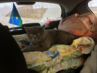 Любимая жена-молдаванка или кошка: таможенники поставили белоруса перед сложным выбором