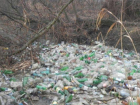Сотрудники предприятия Spatii Verzi замечены за выбросом мусора в речку Бык