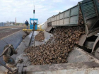 Крупнейший в Молдове сахарный завод может остановиться уже к концу октября