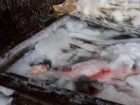 На Центральный рынок Кишинева опять едва не попала рыба неизвестного происхождения