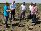 Министр рассказал, ждет ли Молдову продовольственный кризис 