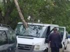 В Кишиневе дерево пронзило лобовое стекло автомобиля, словно копье