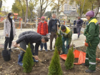 Сквер на улице Заикина в Кишиневе украсят особенные деревья и кустарники  