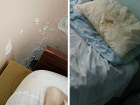 Окровавленные подушки и жуткие стены: пациенты пожаловались на "позорное" состояние больниц в Кишиневе 