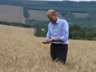 Глава Минсельхоза сделал прогноз по урожаю пшеницы