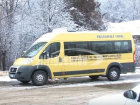 Жестокое избиение 12-летней девочки в румынском школьном автобусе попало на видео