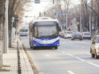 Кишиневские троллейбусы посещают необычные пассажиры