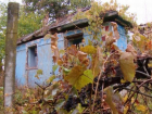 Молодой человек купил дом в умирающем молдавском селе - оставшиеся люди надеются, что это станет началом возрождения