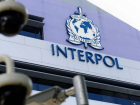 Интерпол подтвердил получение запроса от Молдовы об объявлении Плахотнюка в международный розыск