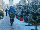 52 тысячи елок подготовила Moldsilva для зимних праздников