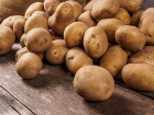Фермеры все чаще продают картофель с полей