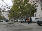 Упавшее на линию электропередач дерево по улице Христо Ботева перекрыло движение транспорта