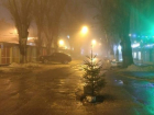В Кишиневе в дорожной яме «выросла» новая елка