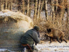 Под Дубоссарами поймали «кабаньего киллера»