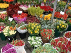 Налоговики займутся проверкой цветочных рынков к 1 сентября