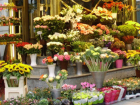 Налоговая служба решила отметить «Последний звонок» рейдами по цветочным рынкам