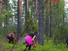 Большая группа сборщиков ягод из Украины загадочно исчезла в Финляндии