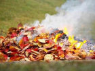 Опасный дым: в Молдове штрафы до 40 000 леев за сжигание листьев