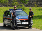 Уроженцы Молдовы участвовали в преступной группе в Австрии