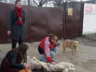 Шокирующая находка - волонтёр из Германии обнаружила содранную с собаки шкуру рядом с Некрополем