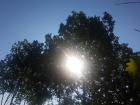 Жаркие выходные: в Молдове ожидается до +33 °C