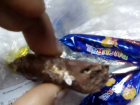 Жутких насекомых в купленных конфетах показал на видео кишиневец