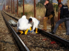 Странная смерть: в Италии поезд разрезал эмигрантку из Молдовы