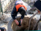 Жуткая находка в Ержово: в сельском колодце обнаружены человеческие останки 