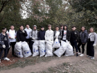 Накануне Дня города волонтеры занялись наведением порядка