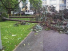Рухнувшие на автомобили под ударом шторма деревья возмутили жителей Кишинева