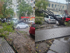 Дожди парализовали Кишинев: поваленные деревья, разбитые дороги и десятки поврежденных машин