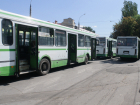В Родительские дни до кладбища «Святого Лазаря» будут курсировать бесплатные автобусы