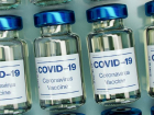 В разгар пандемии президентура пытается заблокировать российскую вакцину 