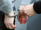 Драчун-тиктокер приговорен к 2,5 годам лишения свободы
