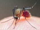 Вторая за месяц смерть от малярии в Молдове: скончался молодой  мужчина, проработавший 2 месяца в Бенине 