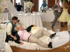 Массовая драка с участием охранника-молдаванина произошла на русской свадьбе в Венеции