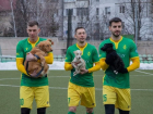 Возьми из приюта, а не покупай: футбольный клуб «Зимбру» поддержал бездомных животных
