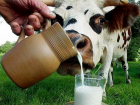 Производство молока в Молдове ежегодно уменьшается на 40 тысяч тонн