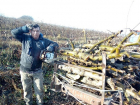 В Дондюшанском районе фермеры вынуждены уничтожать знаменитые яблоневые сады