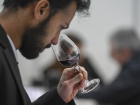 Молдавские вина получили высокие оценки на конкурсе во Франции  