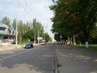 Шок! В Кишиневе дворовому коту отрезали голову (18+)