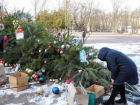 Украинцы повалили на землю и разграбили главную новогоднюю ёлку города