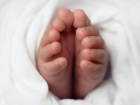 Труп младенца на свалке в Нишканах: новые подробности шокирующего случая